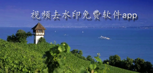 视频去水印免费软件app