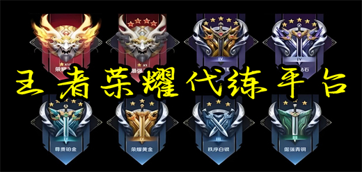 王者代打平台软件大全