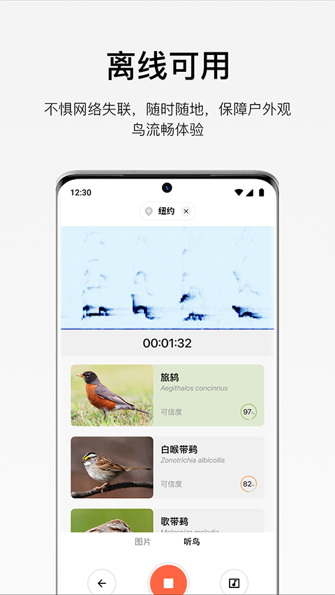 懂鸟app