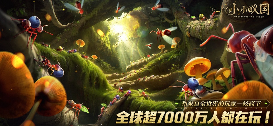 小小蚁国国际服最新版