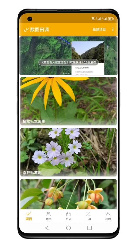 数图田调app