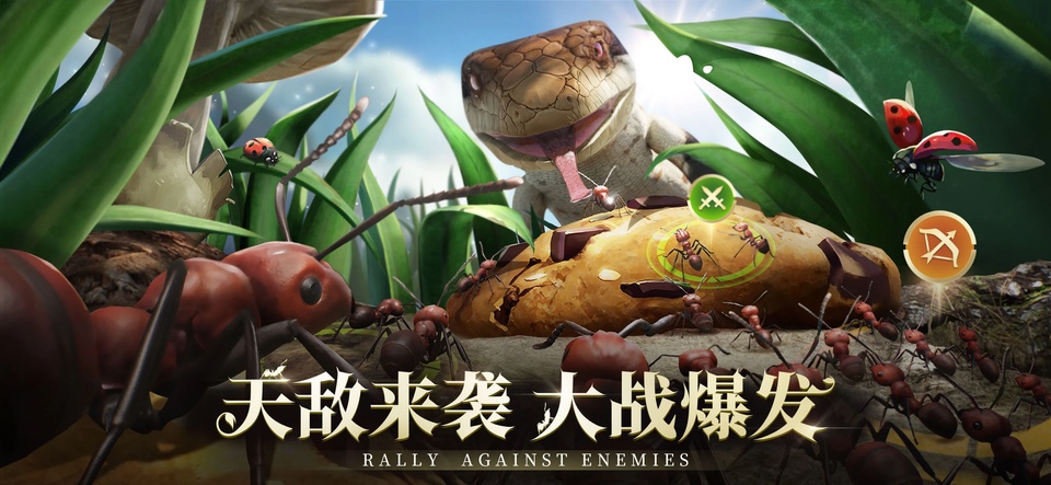 小小蚁国国际服最新版
