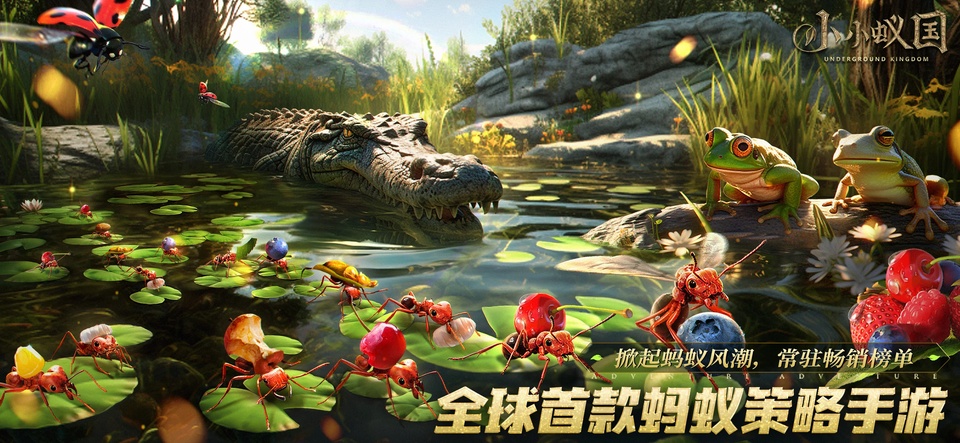 小小蚁国国际服最新版