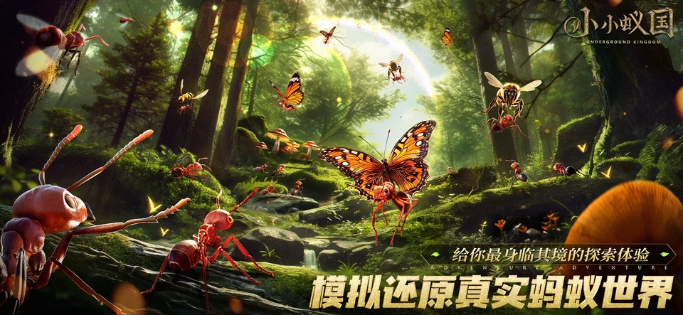 小小蚁国国际服最新版