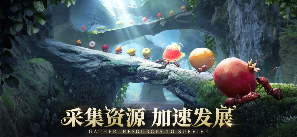 小小蚁国国际服最新版