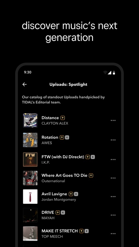 TIDAL音乐app