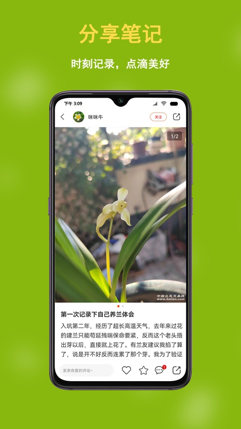 中国兰花交易网手机版