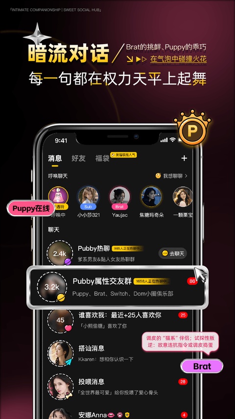 Pubby软件