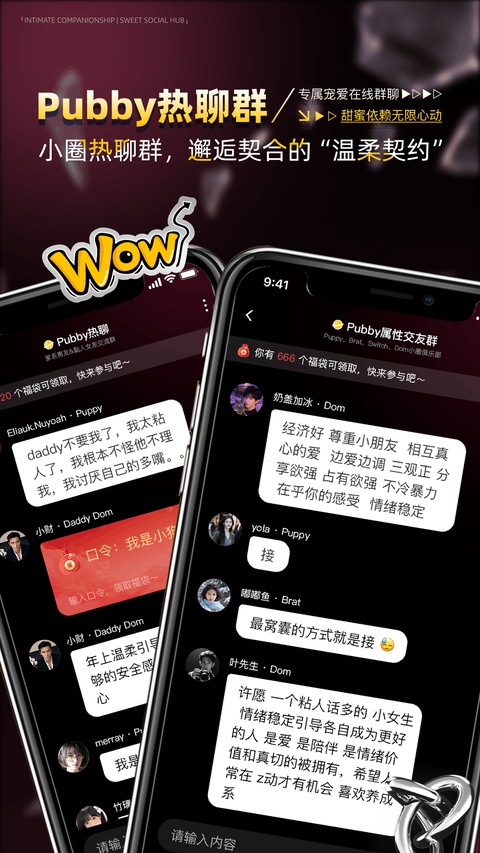 Pubby软件