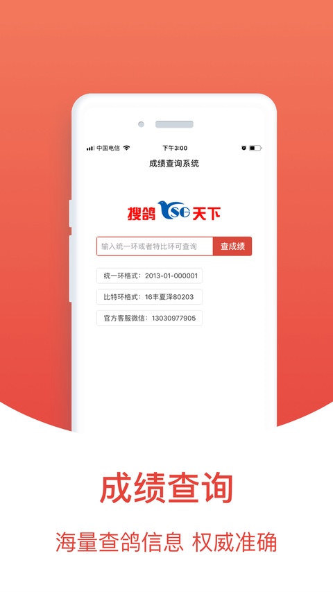赛鸽头条app