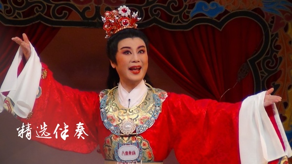 越剧迷软件