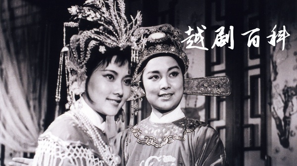 越剧迷软件
