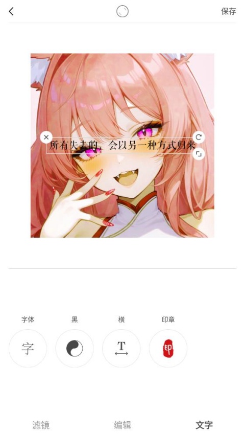 VideoStar汉化版