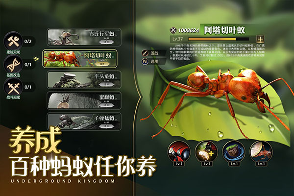 小小蚁国华为渠道服