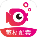 鲤鱼辅导app