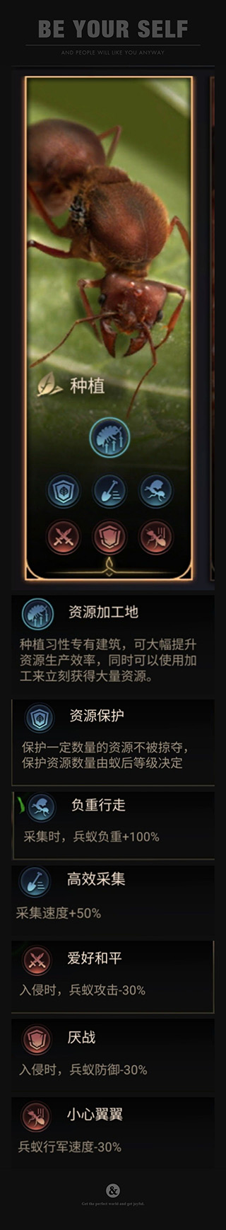 小小蚁国破解版
